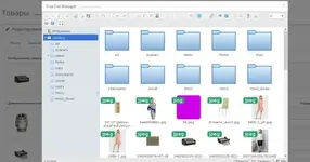 TrueFileManagerBySitecreator-500x500-1.webp