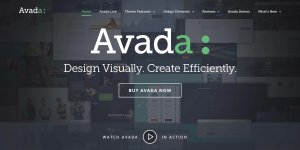 Avada-Theme-Image.jpg