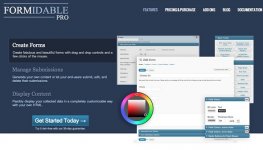 Formidable-Pro-WordPress-Forms-1024x586-1.jpg