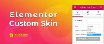 1576765537_elementor-custom-skin-pro.webp