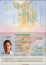 Indonesia passport v2.webp