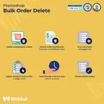 1641571-pbig.webp