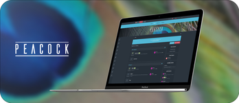 Mockup.webp