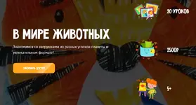 1756782075439.webp 1756782075439.webp