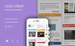 social stream.webp