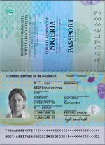 Nigeria passport 2019+ v2.webp