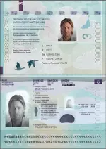 Sweden passport 2022+.webp