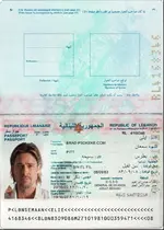 Lebanon passport 2022+.webp