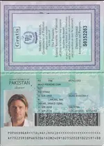 Pakistan passport 2017+.webp