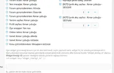 XenGenTr Forum içerik akış - widget konum.webp