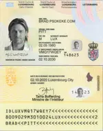 Luxembourg id card 2014+.webp