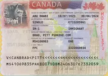 Canada visa NEW.webp