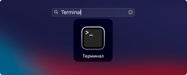 1624718252_terminal.png