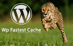 WP-Fastest-Cache.png