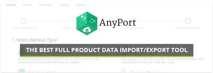 AnyPort-banner.webp