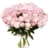 alexwhitepro777