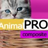 Товары для животных. Корма.(AnimalPRO). Профессиональный интернет магазин | redsign.prozoo