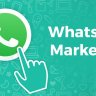 Waziper - Whatsapp Marketing Tool by stackcode NULLED