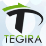TEGIRA: стильный настраиваемый лендинг с каталогом товаров и корзиной | temploid.tegira