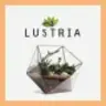 Lustria - MultiPurpose Plant Store WordPress Theme