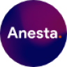 Anesta - Intranet, Extranet, Community and BuddyPress WordPress Theme NULLED